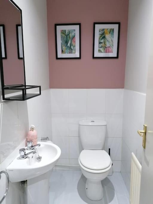 Stunning 3 Bedroom Townhouse In The Heart Of City Belfast Exterior photo
